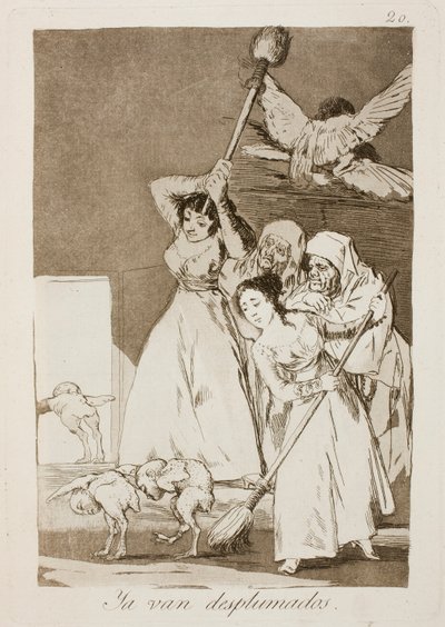 Ya van desplumados de Francisco de Goya